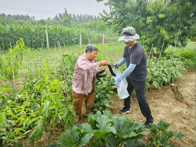 结合本地当季生产与消费的种植业农产品抽检监测方案